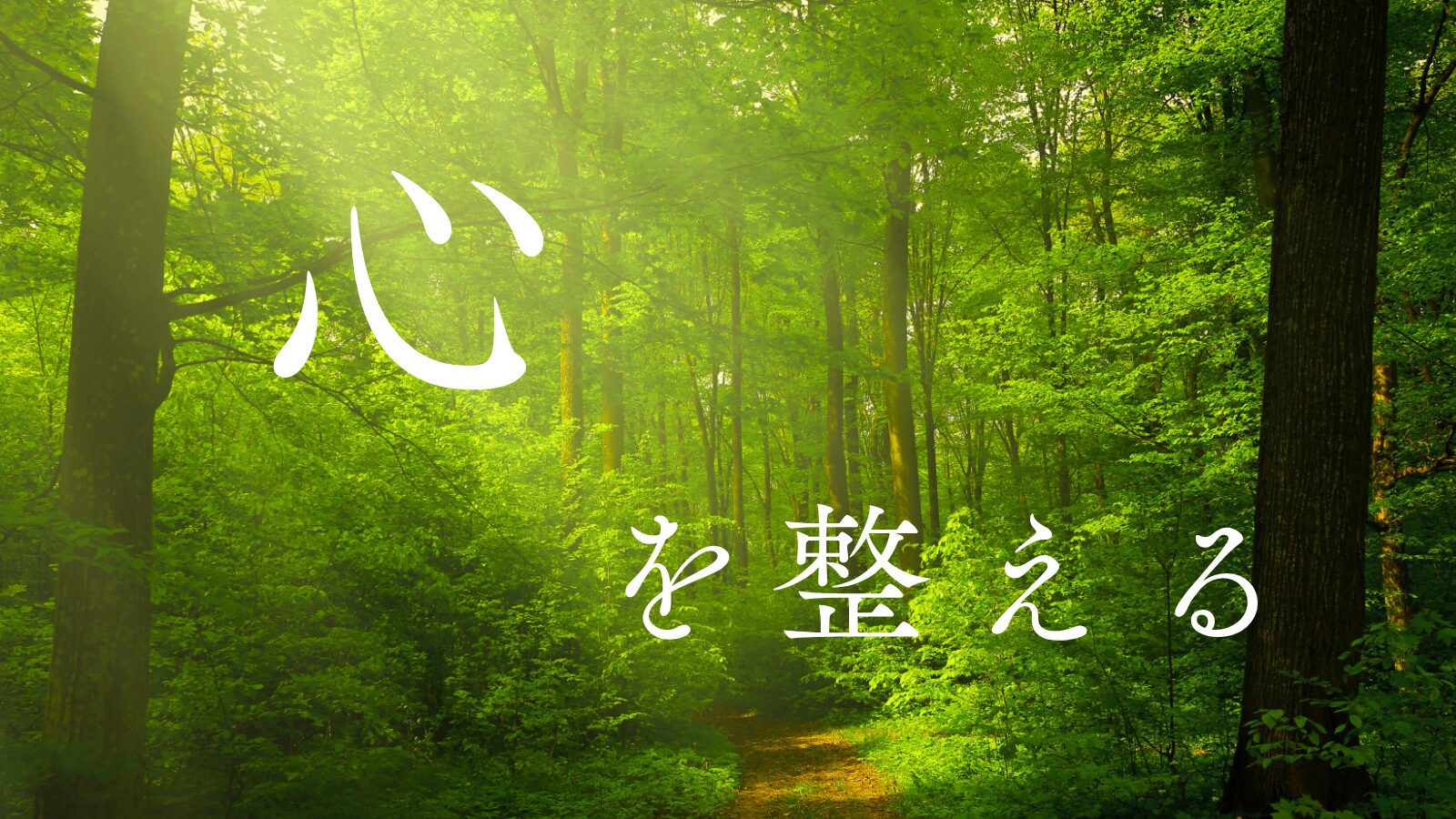 緑の森の中に差し込む光を背景に「心を整える」と書かれたイメージ画像。穏やかな静けさを表現。